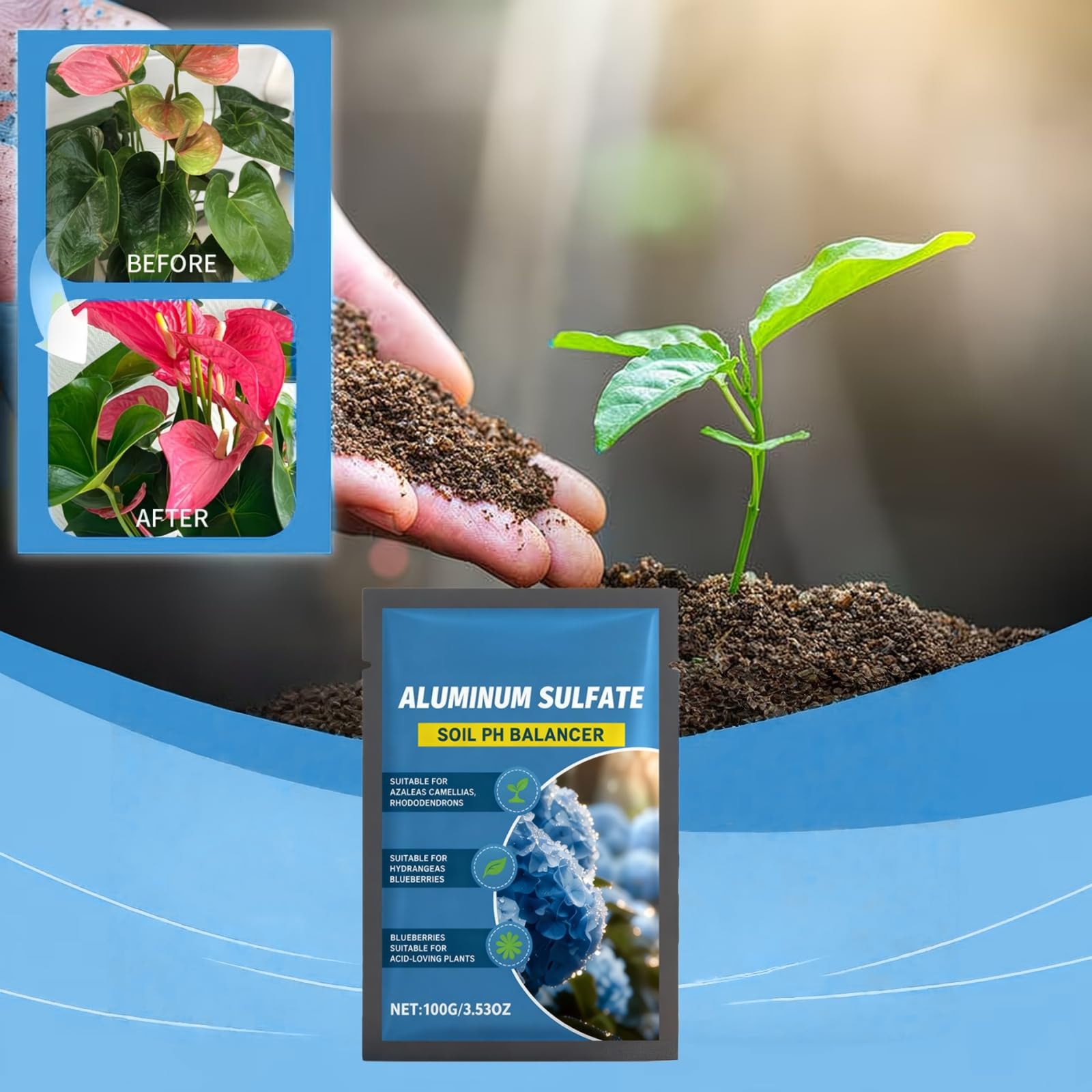 View 2