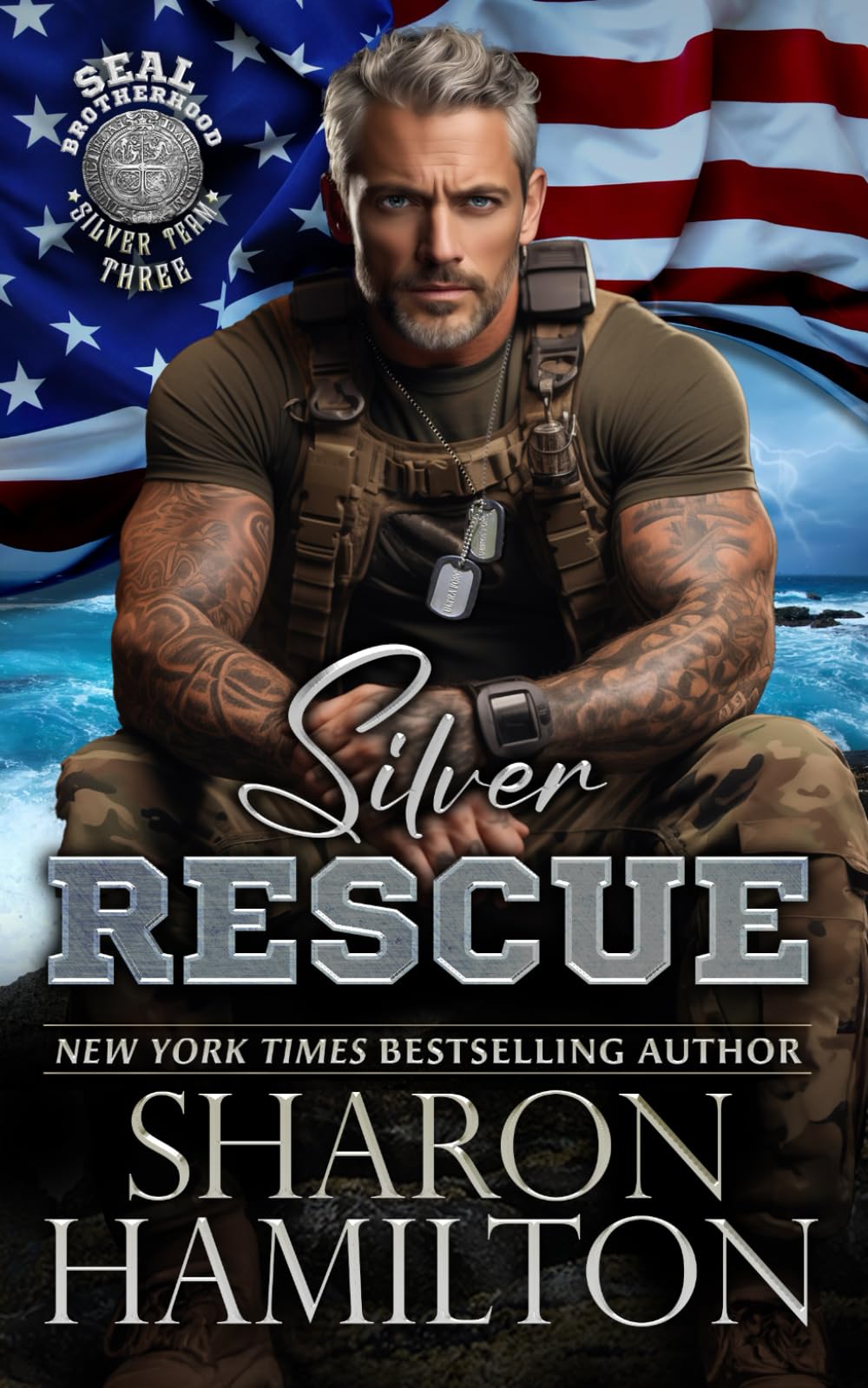 Silver Rescue: 3 (SEAL Brotherhood: Silver Team)