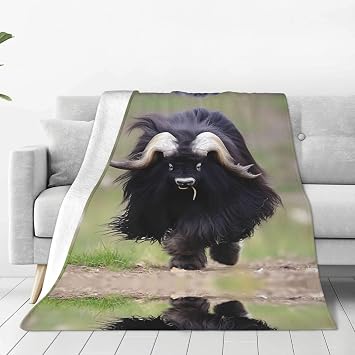PHAYAH Big Yak Pattern Ultra-Soft Micro Blanket 60"X50" Flannel Blankets for Couch Sofa Bed Living Room Office Lunch Break