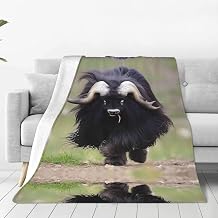 PHAYAH Big Yak Pattern Ultra-Soft Micro Blanket 60"X50" Flannel Blankets for Couch Sofa Bed Living Room Office Lunch Break