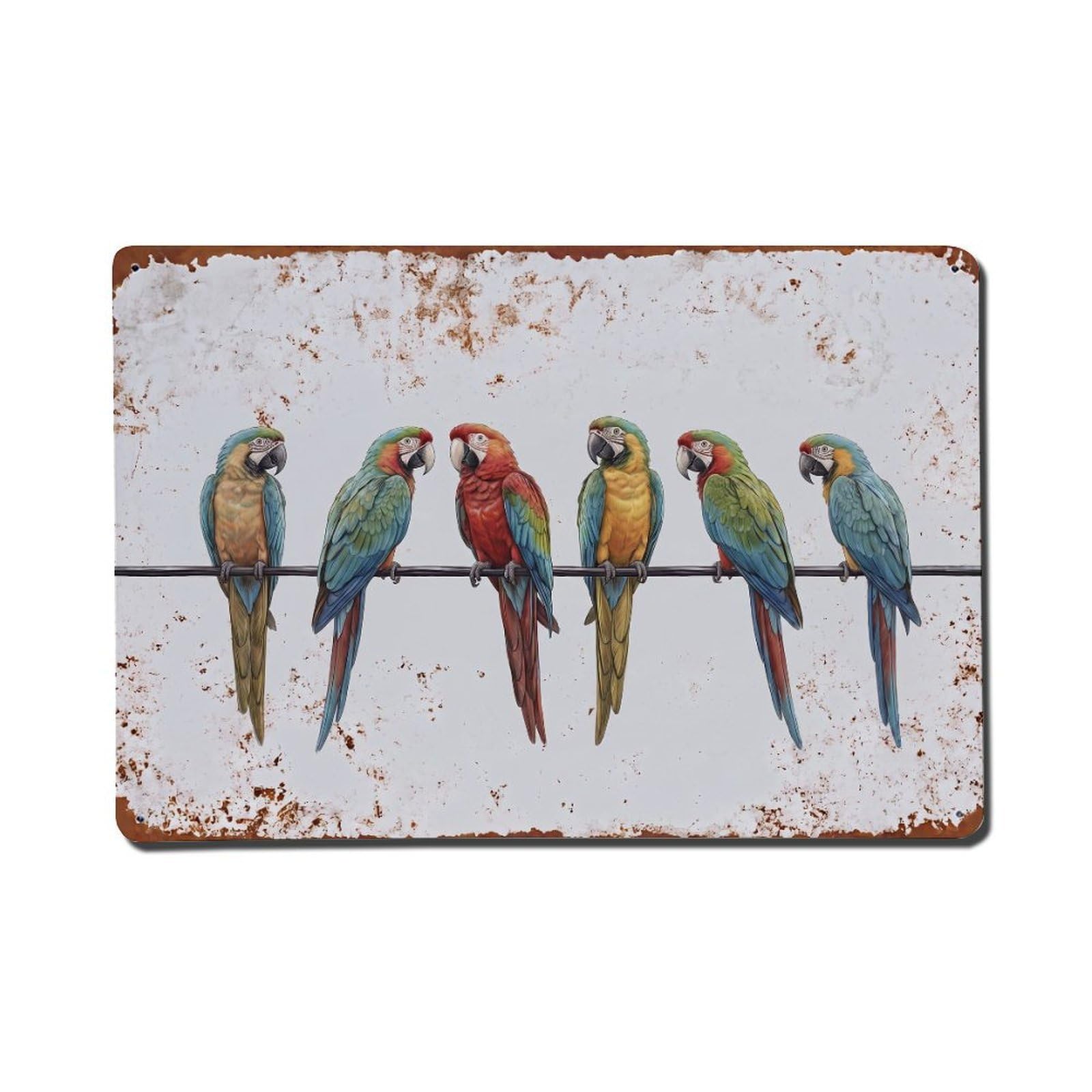 Vintage Retro Birds Military Macaw Metal Tin Sign