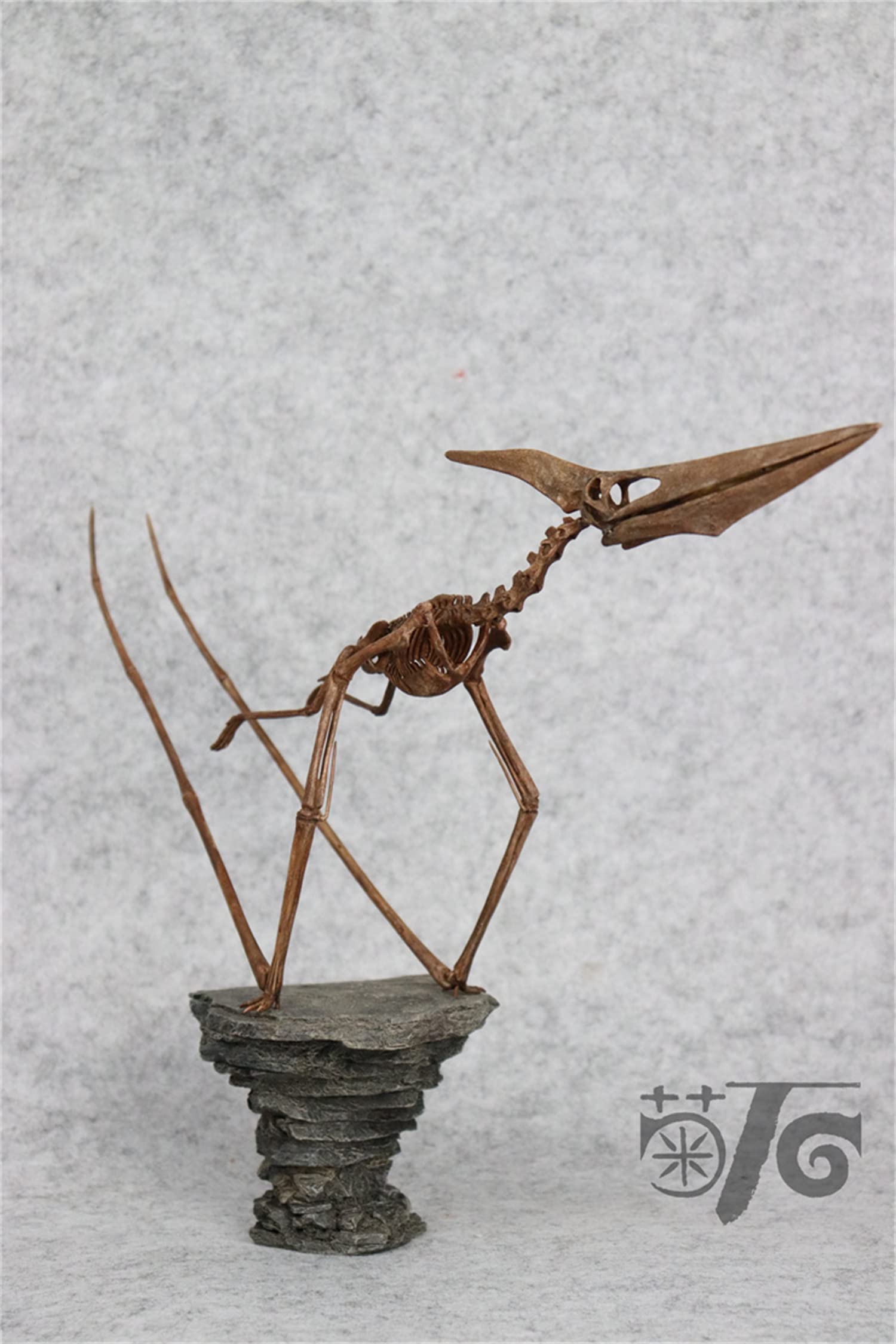 Amazon | 菊石 1/10 サイズ プテラノドン 翼竜 恐竜 プテロダク