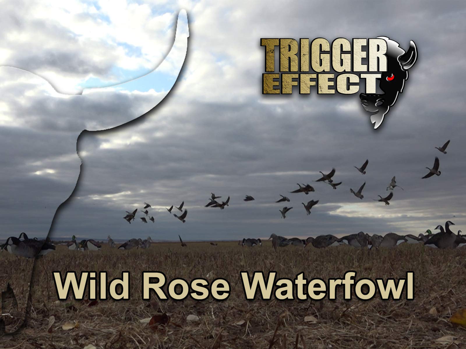 Watch Trigger Effect Prime Video