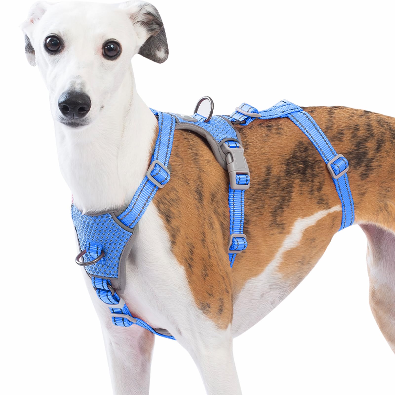 Huntboo Escape Proof Dog Harness – No Pull, No Slip, Fully Reflective, Adjustable 7-Point Design for Small, Medium, and Large Dogs – Lightweight for Outdoor Training & Hiking (Sea Blue, L)
