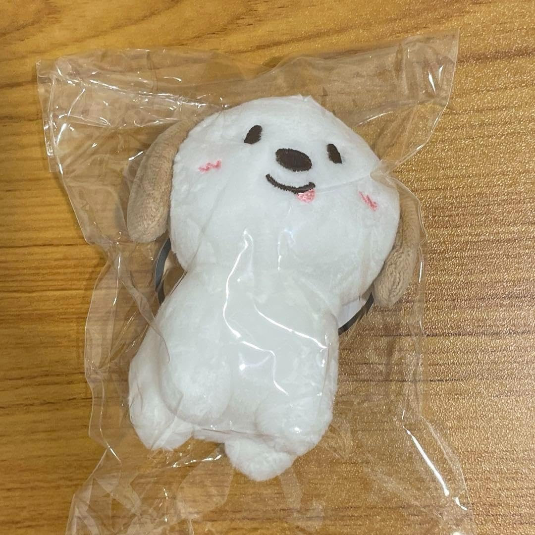 Amazon.co.jp: RIIZE ライズ 韓国 ポップアップ 限定 ドール