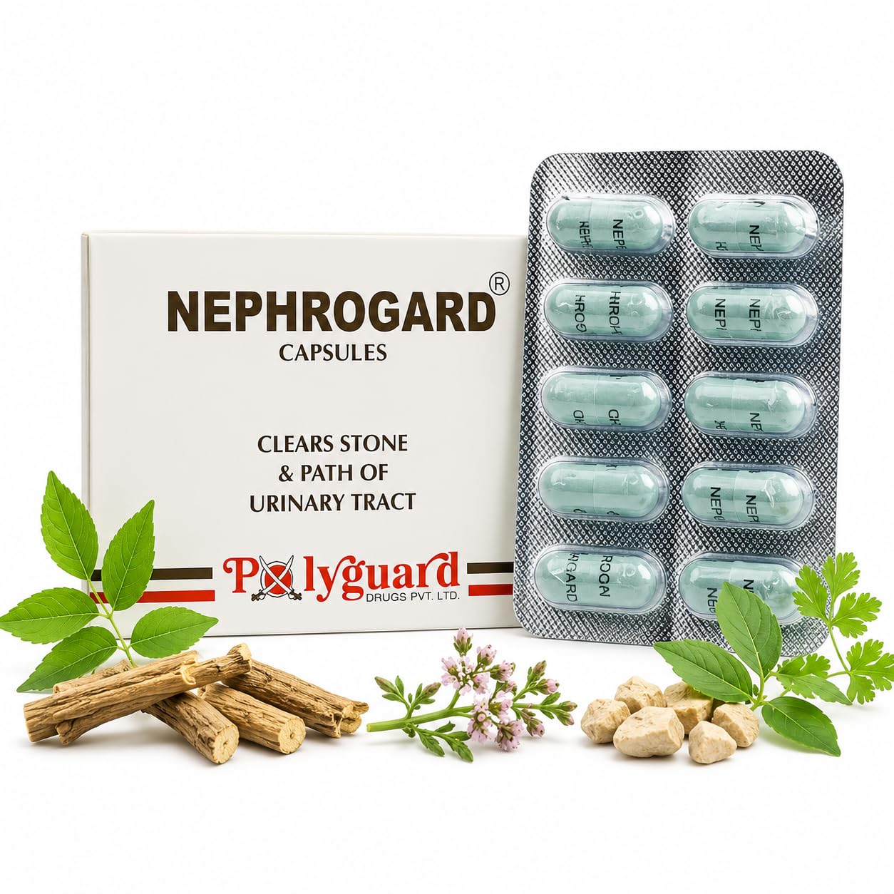 Nephrogard Capsules 60 (3 Pack of 20) | Ayurvedic way | Kidney Health | Detox Kidney stone | UTI | Ayush Approved | Prostrate problem |-picture-14