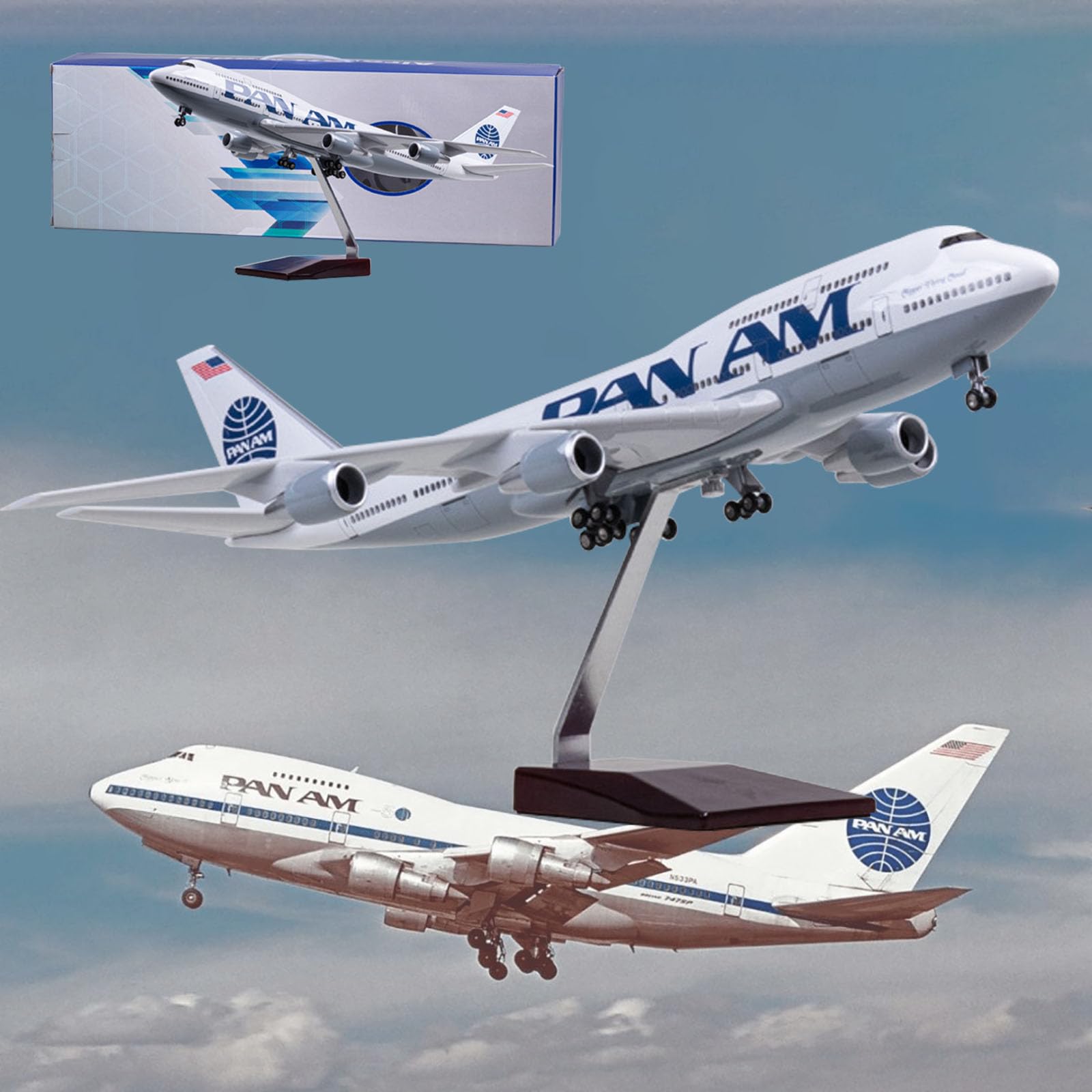 Amazon.co.jp: 18。5