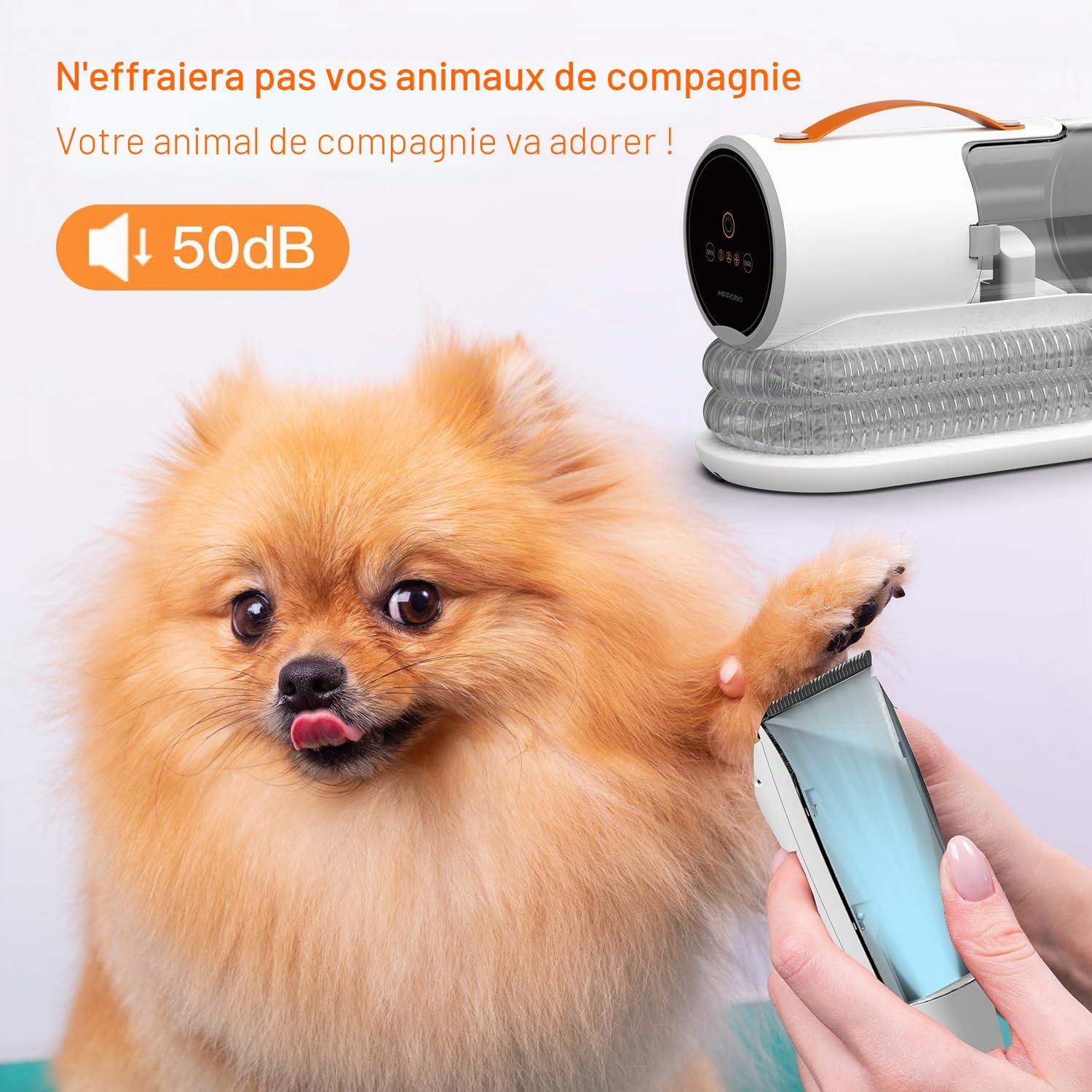 AIRROBO PG100 Kit de toilettage pour Chien avec aspirateur pour ramasser 99% des Poils d'animaux