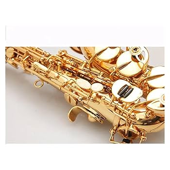 Amazon | 楽器のカーブドソプラノサックス BB ソプラノサックス
