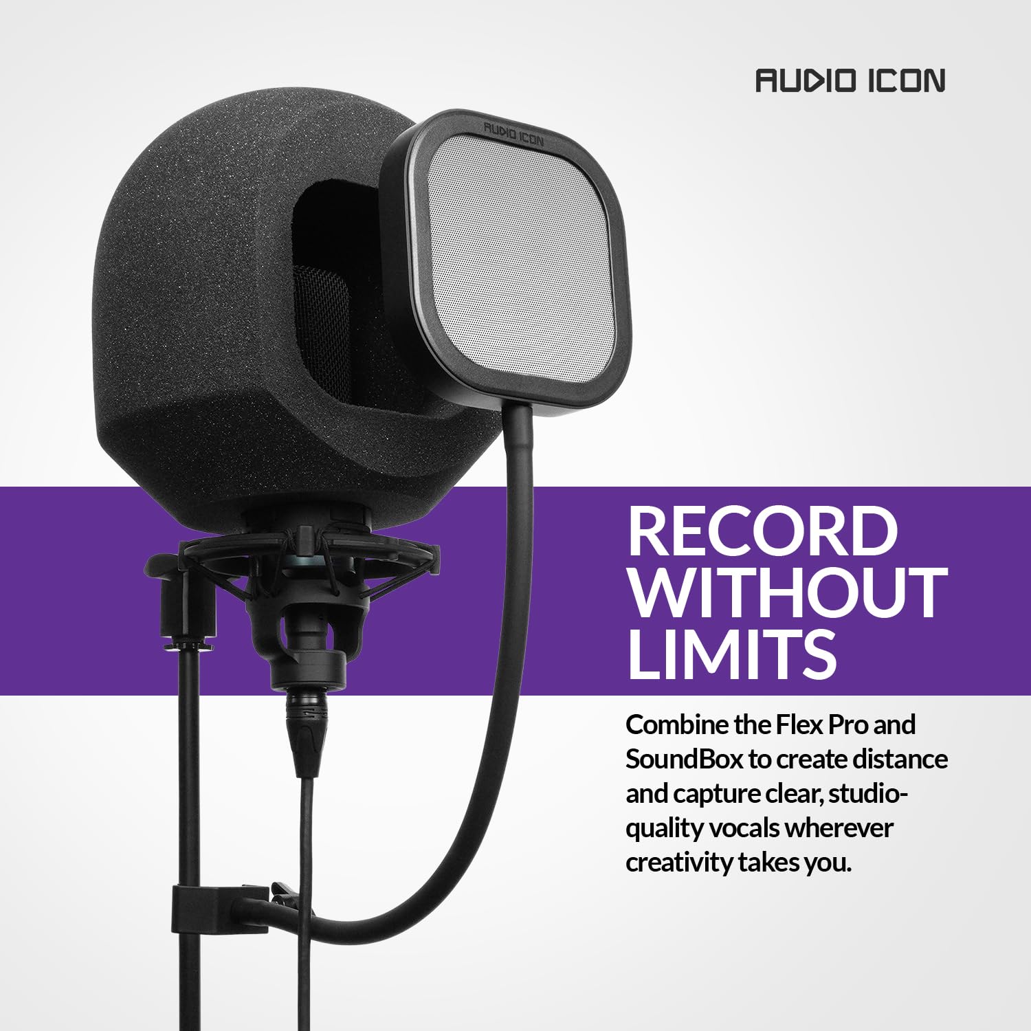 Flex Pro, austauschbarer Mikrofon-Pop-Shield-Filter für Aufnahmen mit robustem, flexiblem Schwanenhals von Audio Icon (Pop-Filterpaket)