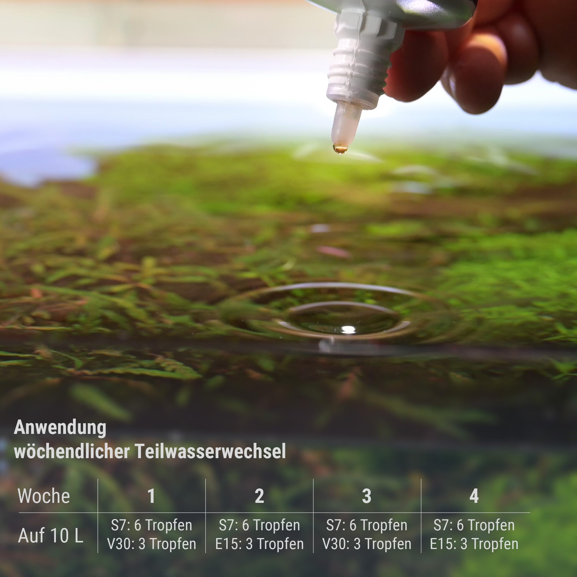 Dennerle Plant System Kit Nano - Système d'engrais pour plantes d'aquarium somptueuses