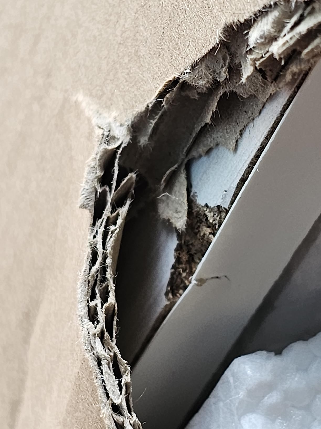 12/mo Finance Furinno JAYA Utility Design Coffee Table, White Oak