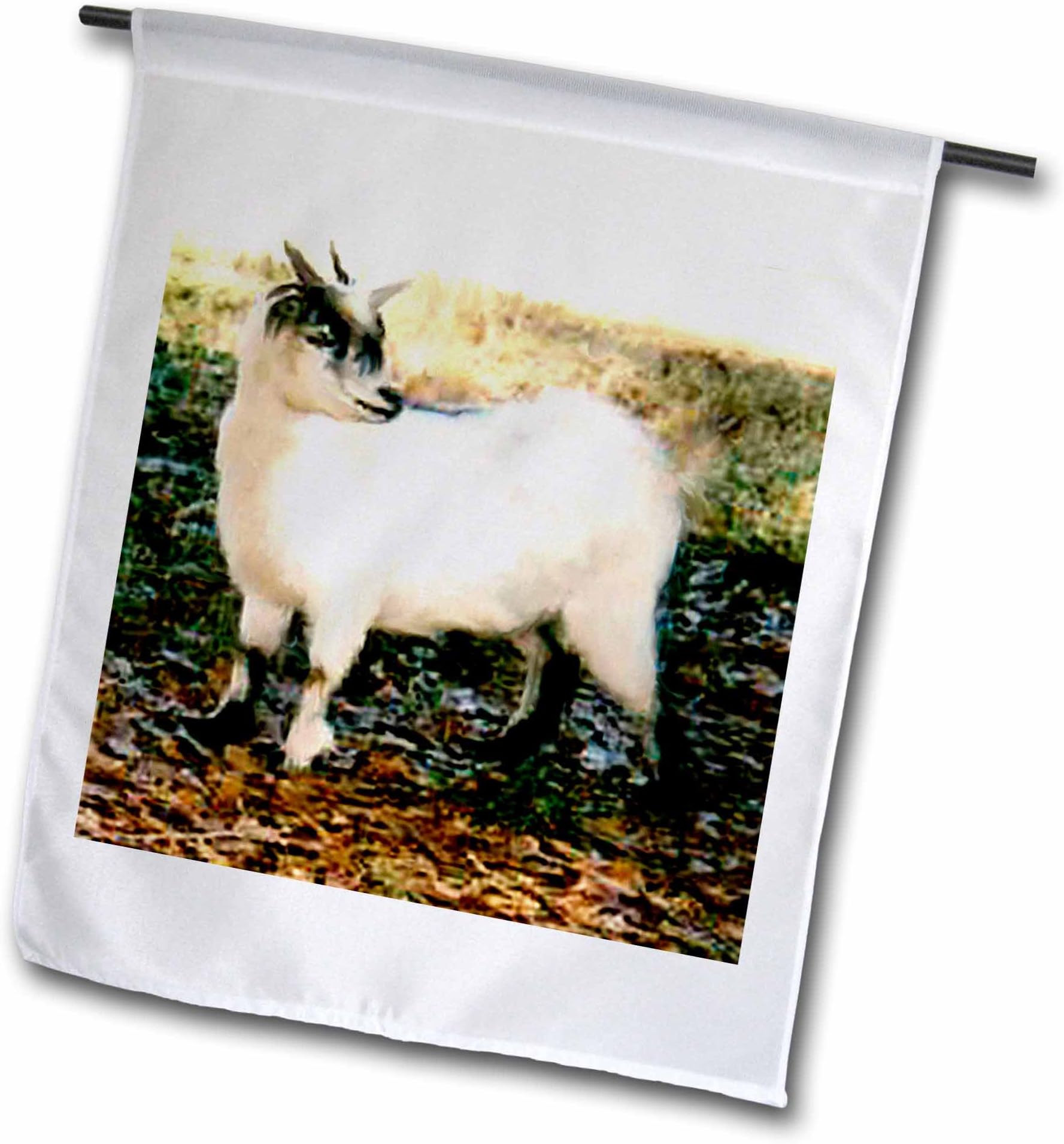 3dRose Pygmy Goat-Garden Flag, 12 by 18-inch (fl_819_1), Varies