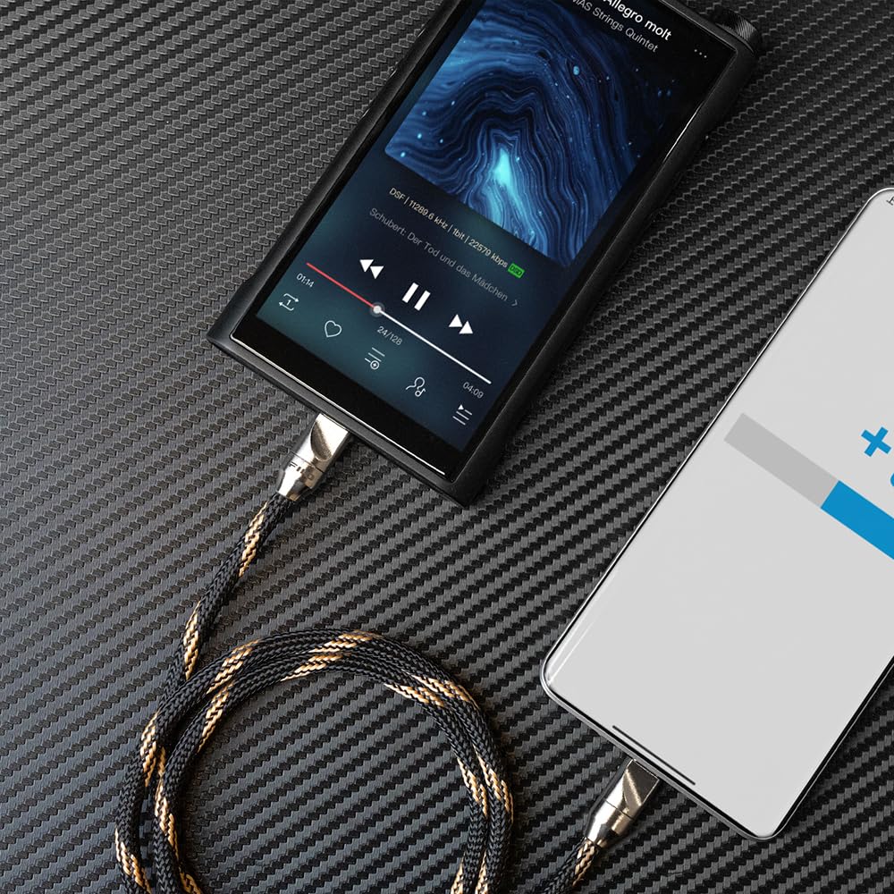 Amazon | FIIO LT-TC5 FIO-LT-TC5【日本正規店より発送】フィーオ