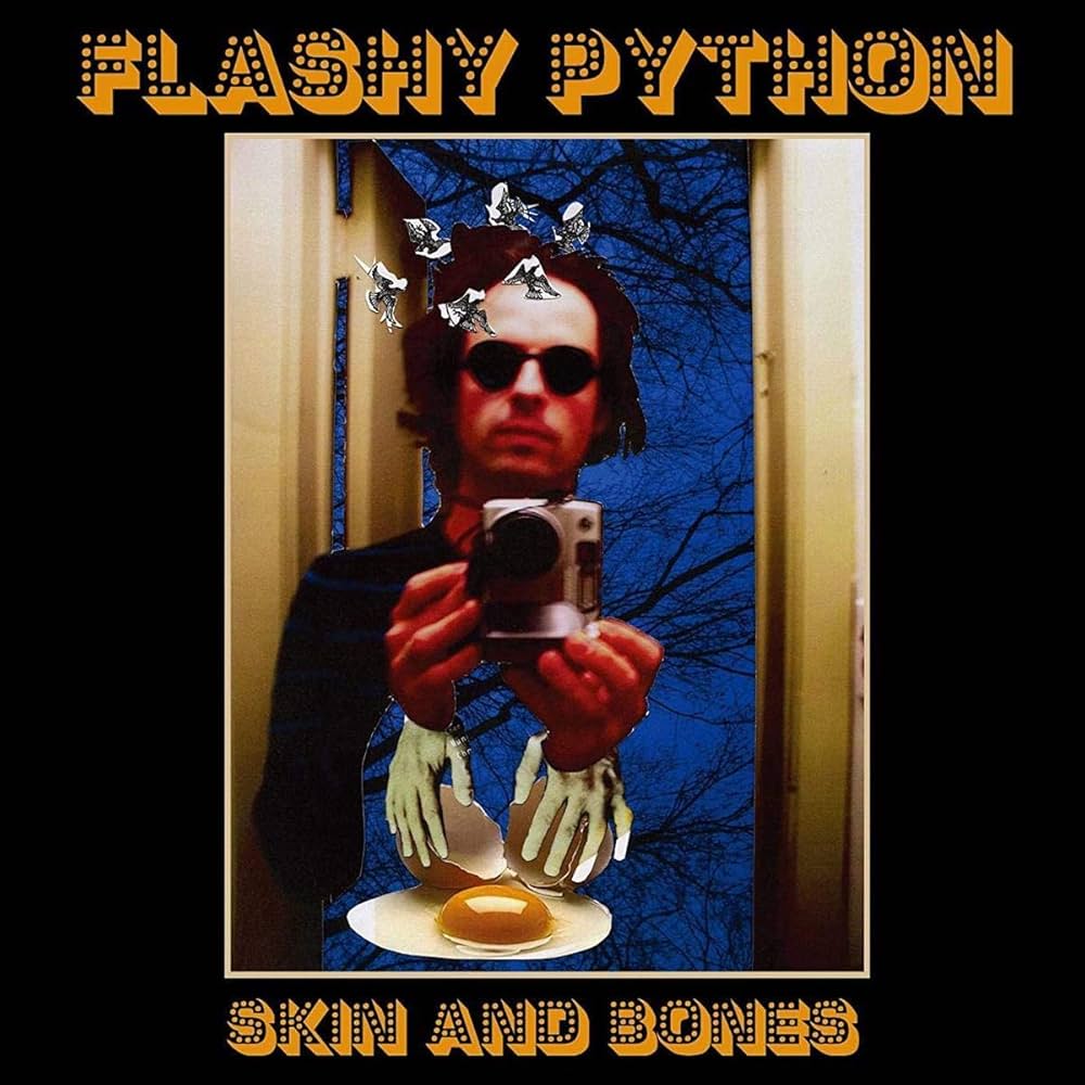 ノット・ア・プリティ・サイト／スキン＆ボーンズ　日本盤CD Amazon.co.jp: Skin & Bones: ミュージック