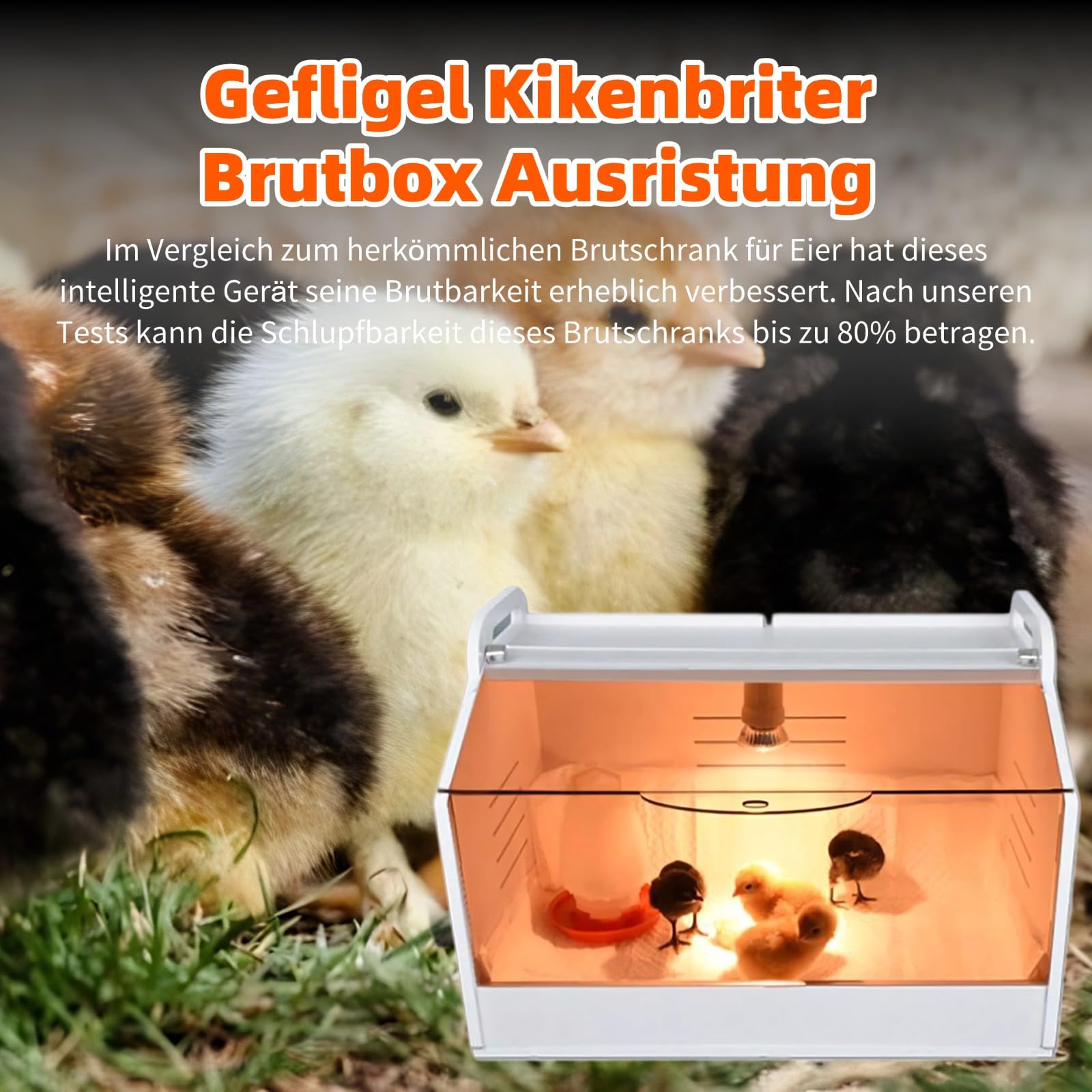 Geflügel Kükenbrüter Brutbox Ausrüstung,Tech Kükenaufzuchtbox Komplettset,Kleintiere Manuelle Inkubatorheizung, mit Transparente Öffnung,Hühnerbrutkasten Heimbrutkasten für Hühnerenten,Vögel