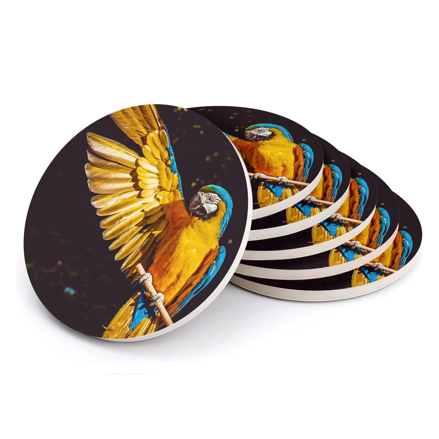Sottobicchiere rotondo in ceramica – Splendido pappagallo giallo e blu uccello esotico – Set di 6 (108 x 108 mm)