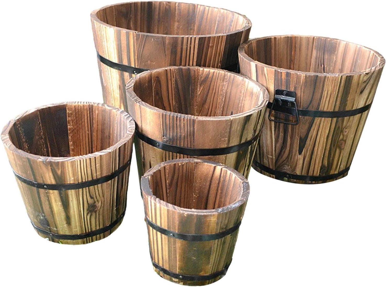 幹立ち モンステラ デリシオーサ ファイバー鉢 お皿付き 幹立ち 幹立ち モンステラ デリシオーサ ファイバー鉢 お皿付き 幹立ち