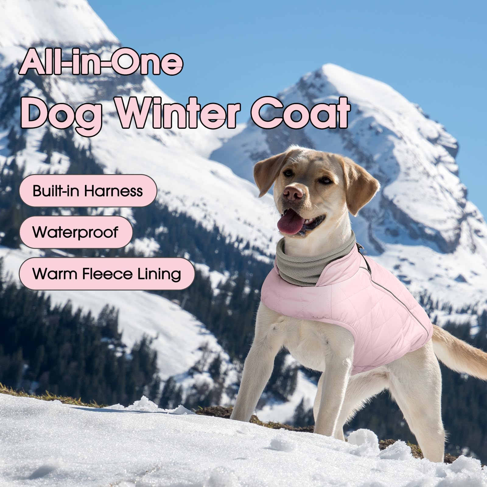 QBLEEV Hundemantel für kleine Hunde, warme Winter-Fleeceweste mit