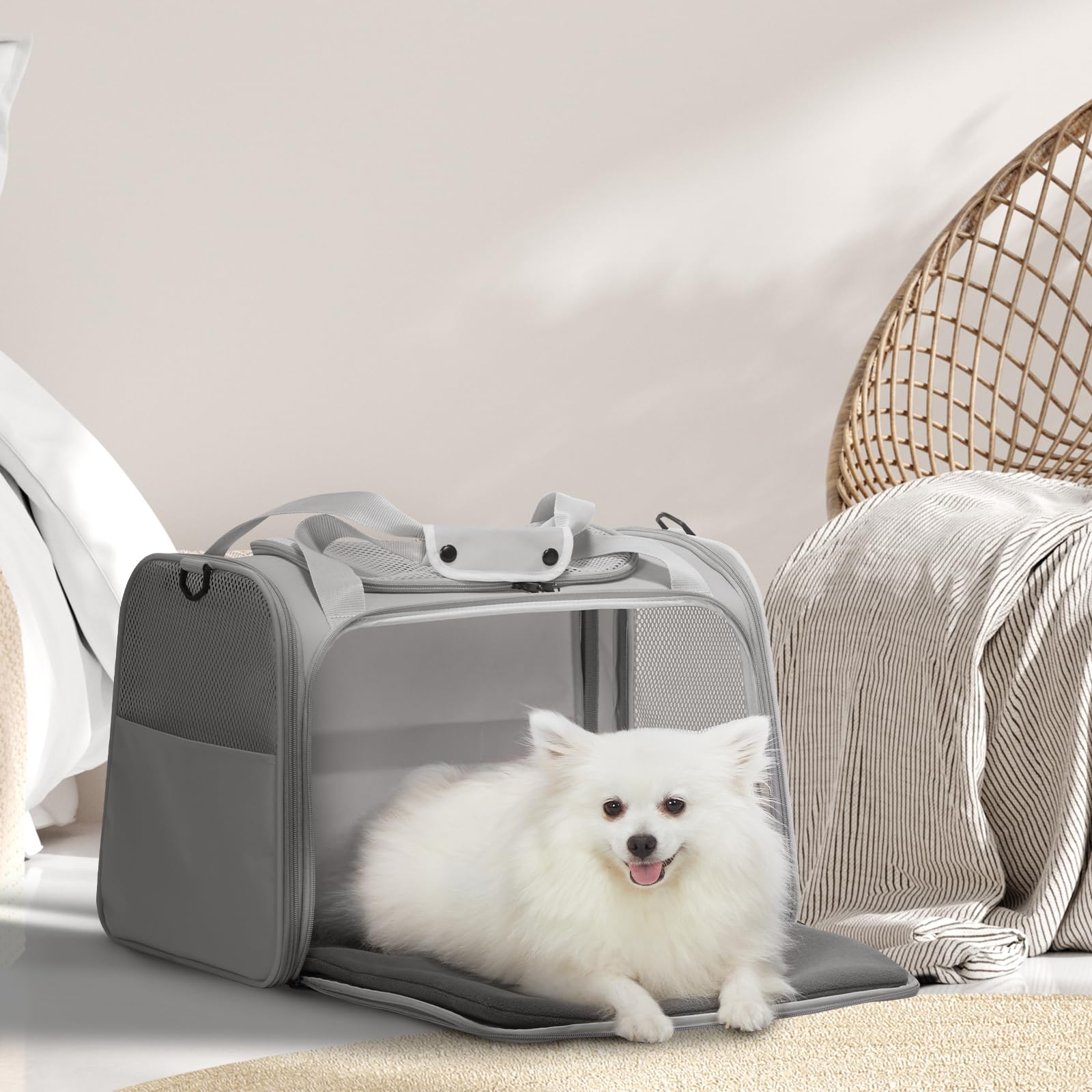 Petsfit Trasportino per gatti grande fino a 11,3 kg, trasportino stabile e leggero con tappetino in pile estensibile, borsa da viaggio per cani con guinzaglio di sicurezza per uso interno, 50 x 33 x