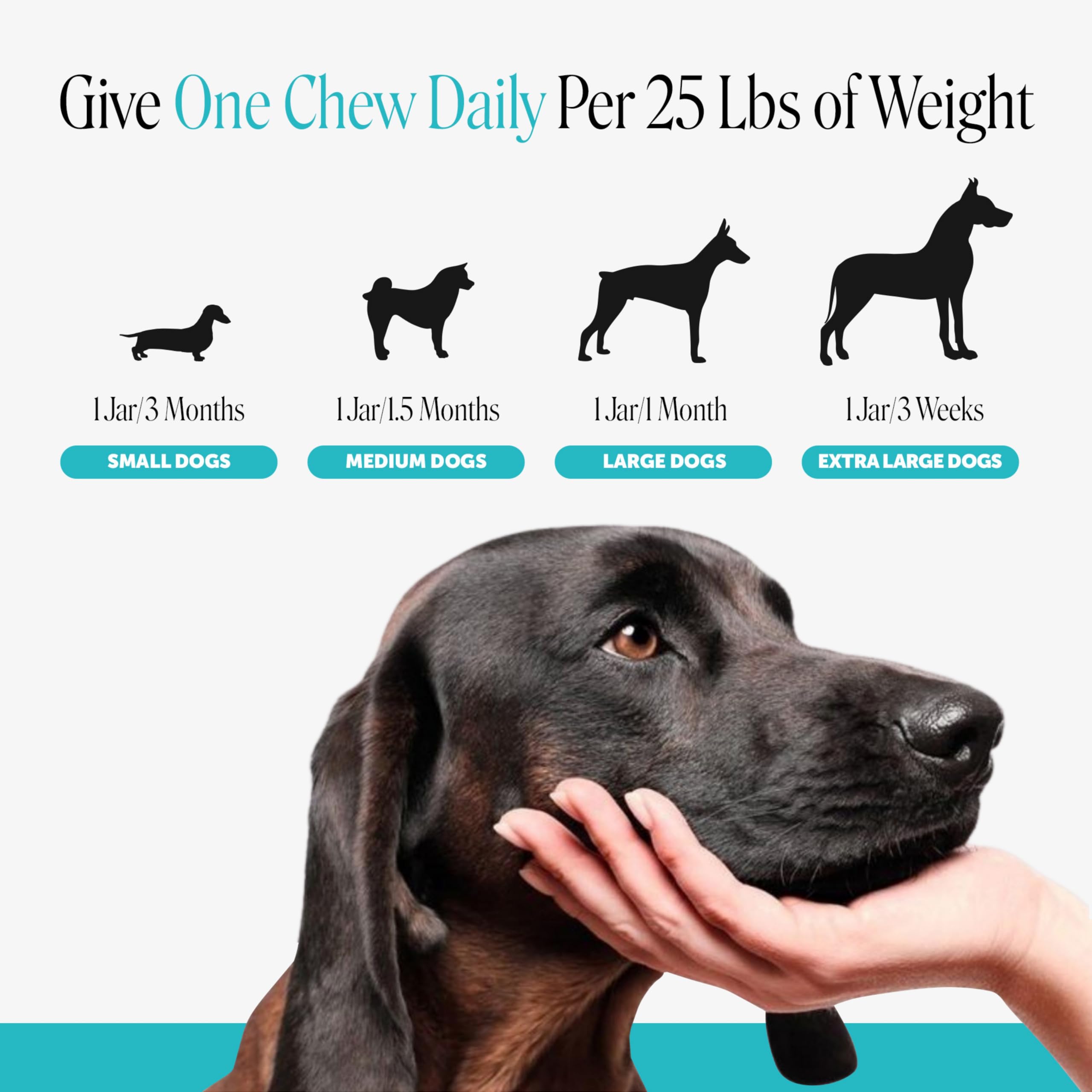 Pet Honesty Cáñamo natural calmante para perros – Alivio de la ansiedad en perros – Calmante con raíz de valeriana, manzanilla + magnesio – Estrés, separación y ayuda a los truenos