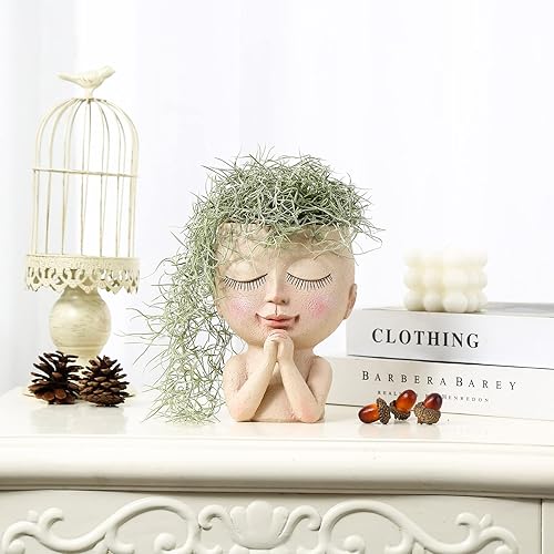 Miniatura 10 de ZJ Whoest Macetas de cara para suculentas, macetas de cara para plantas de interior y exterior con agujero de drenaje, doble luz