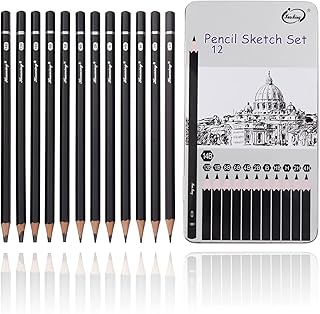 Professional Drawing Sketching Pencil Set - 12 Pack Art Drawing Sketch Pencils, Graphite Pencils(14B - 4H), Ideal for Drawing, Art Pencils for Shading, Back to School Supplies