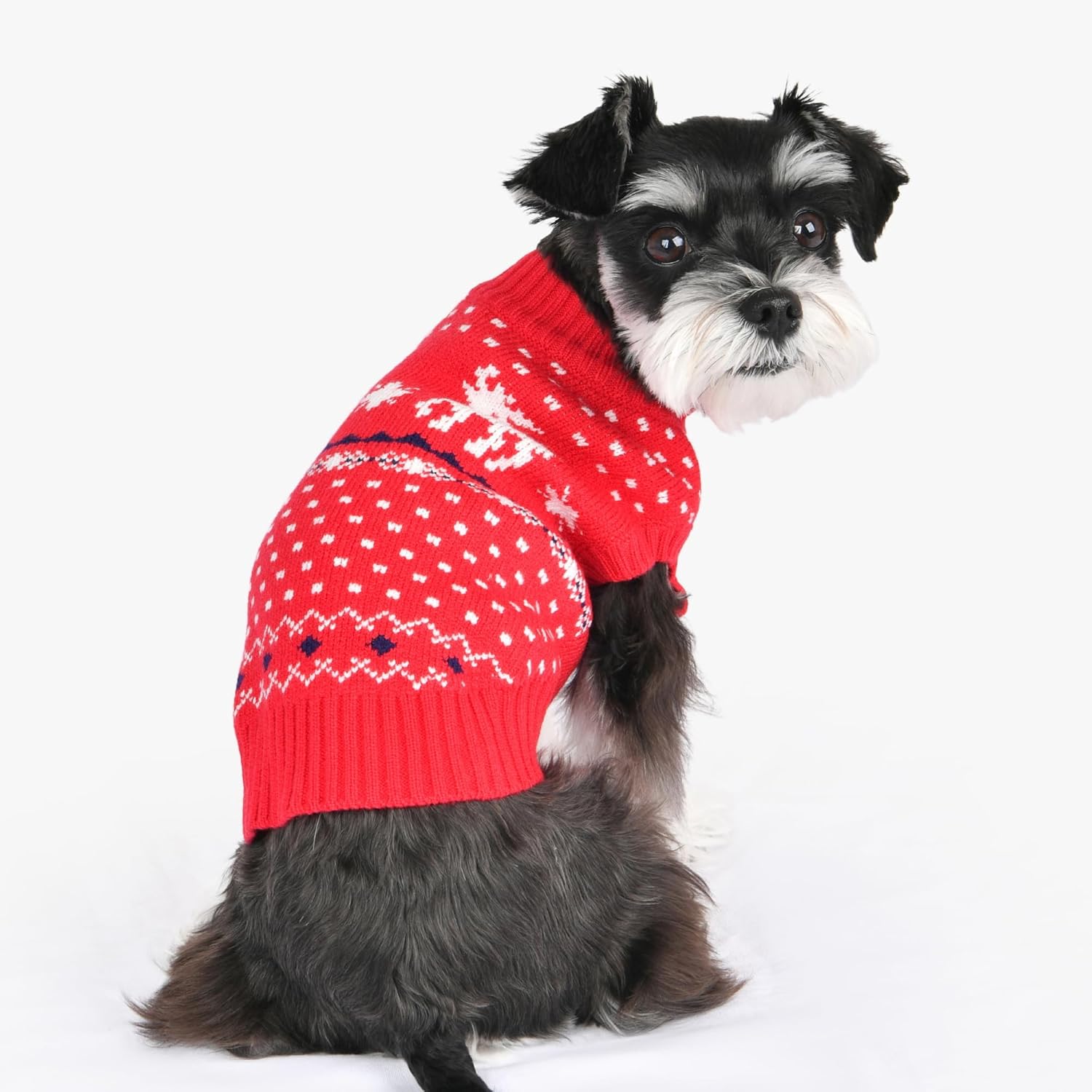 Puppia Dyani Dog Knit Sweater Winter Season for Small and Medium Dogs, RED, Large