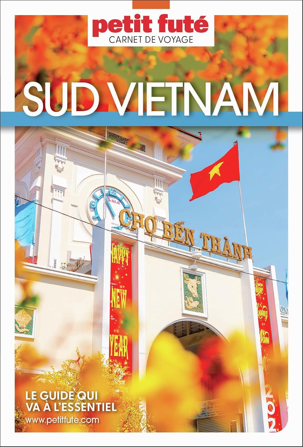 Guide Sud Vietnam 2025 Carnet Petit Futé (French Edition)
