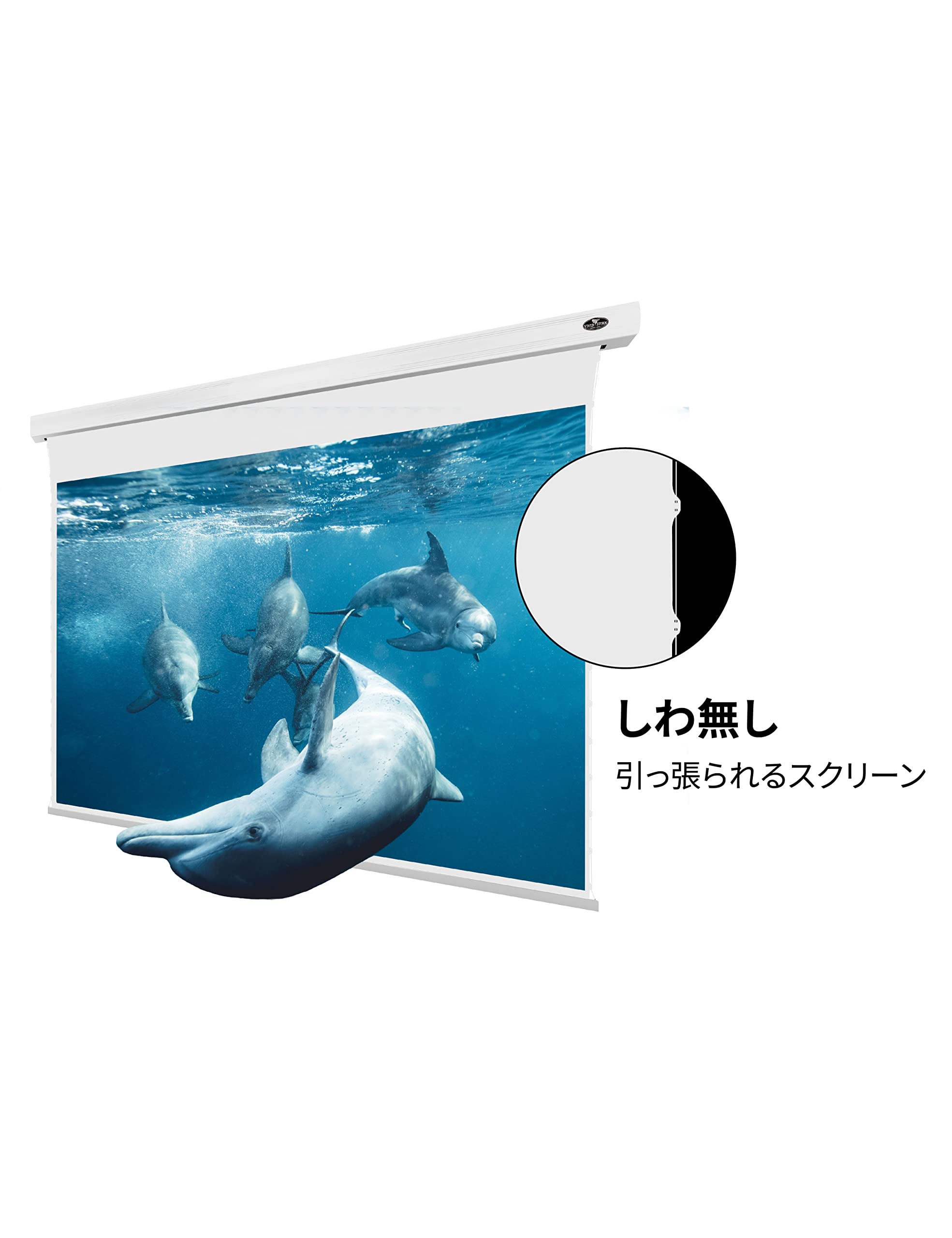 Amazon | プロジェクター スクリーン VIVIDSTORM ホームシアター