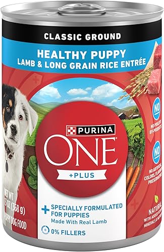 Purina ONE - Alimento húmedo SmartBlend para cachorros, paté natural, cordero saludable y arroz de grano largo, 12 latas de 13 onzas