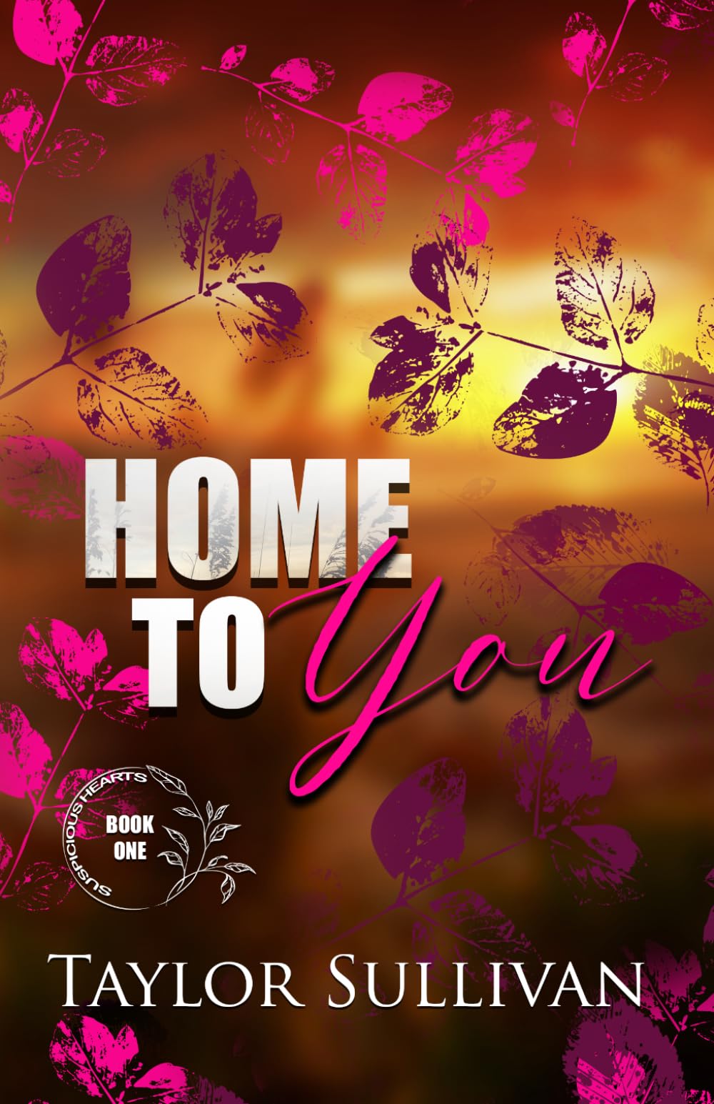 Home to You: Volume 1 (Suspicious Hearts)
