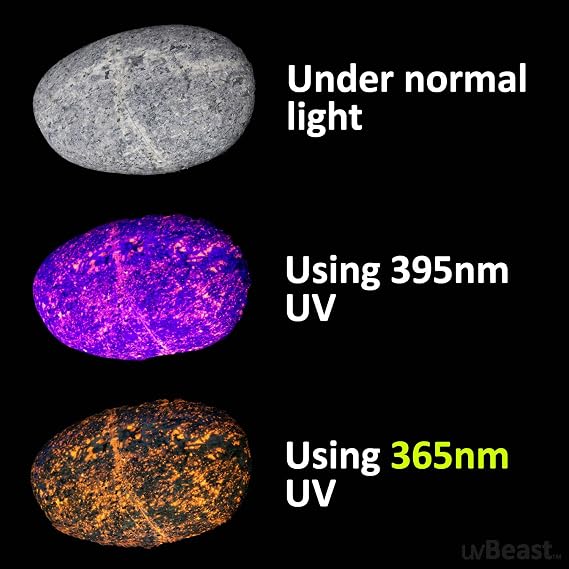 uvBeast V3 365nm Black Light UV Flashlight High Definition Ultraviolet - HIgh Power and Long Range Professional Grade Beam Best for Professional/Commercial Use USA Stock