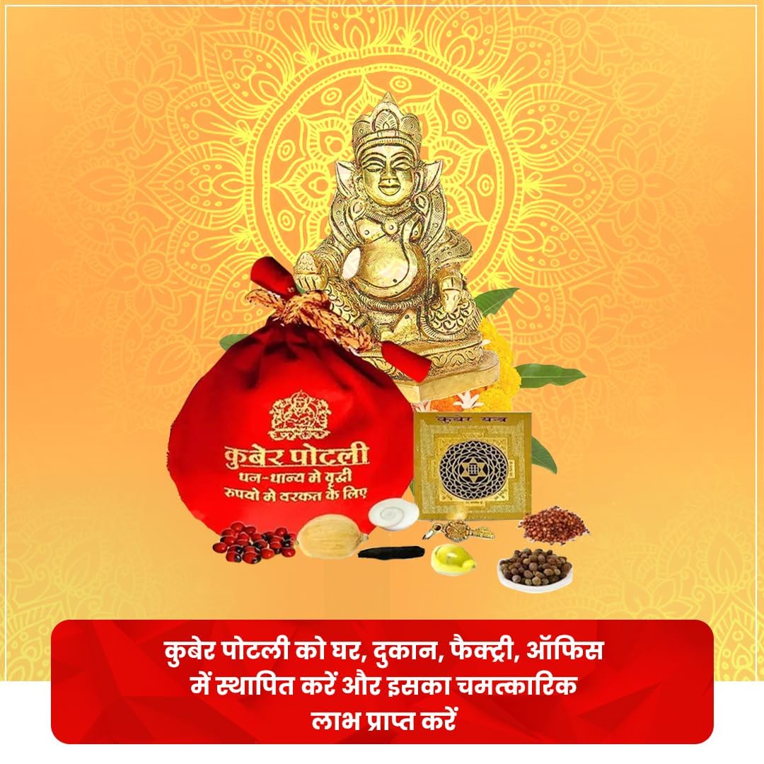 Satguru Kuber Potli for Home, Shop, Business, Factory, Money Growth, Business Growth, Prosperity and Financial Success (Business) 3