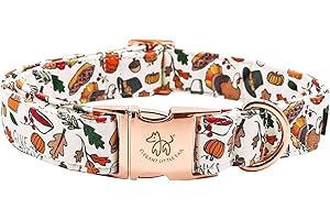 Elegant Little tail Thanksgiving Turkey Pet Collar for Holiday Festive