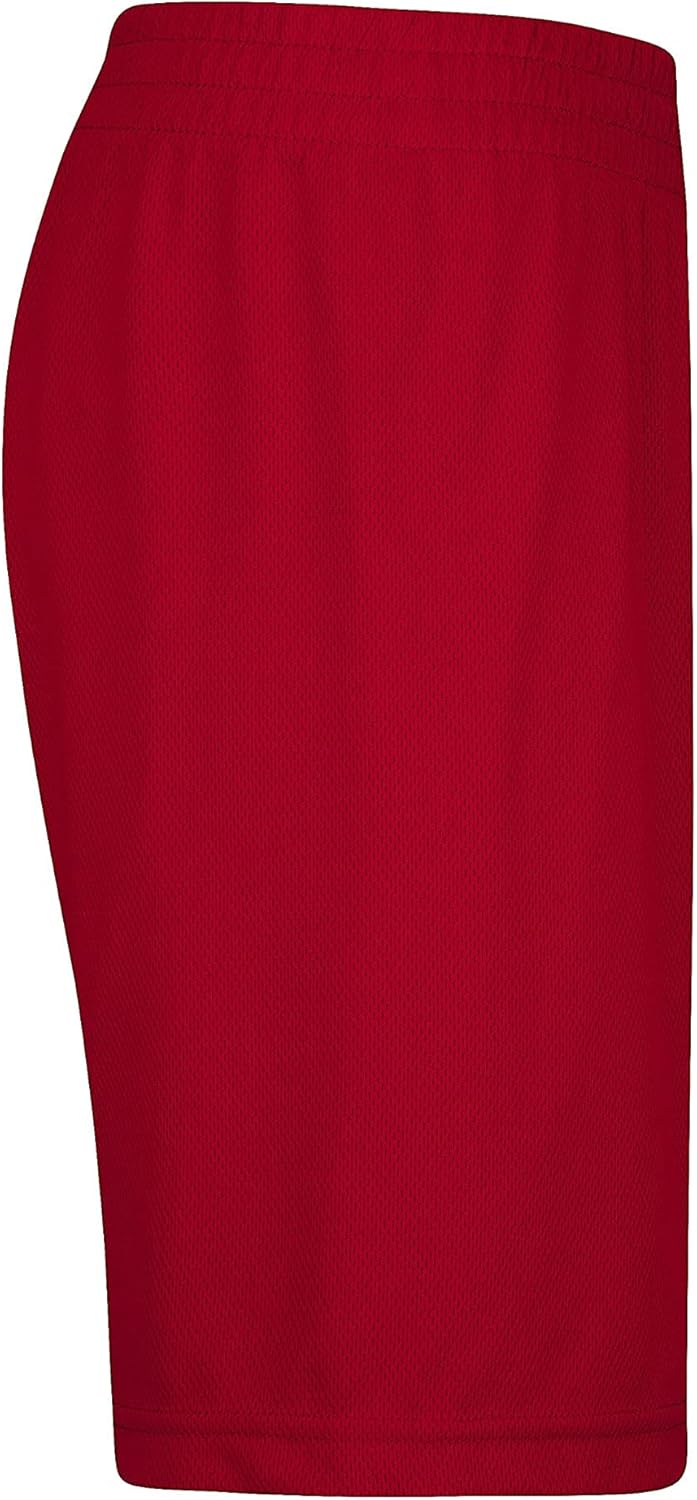 Jordan Boy's Shorts (Big Kids) Gym Red LG (14-16 Big Kid)