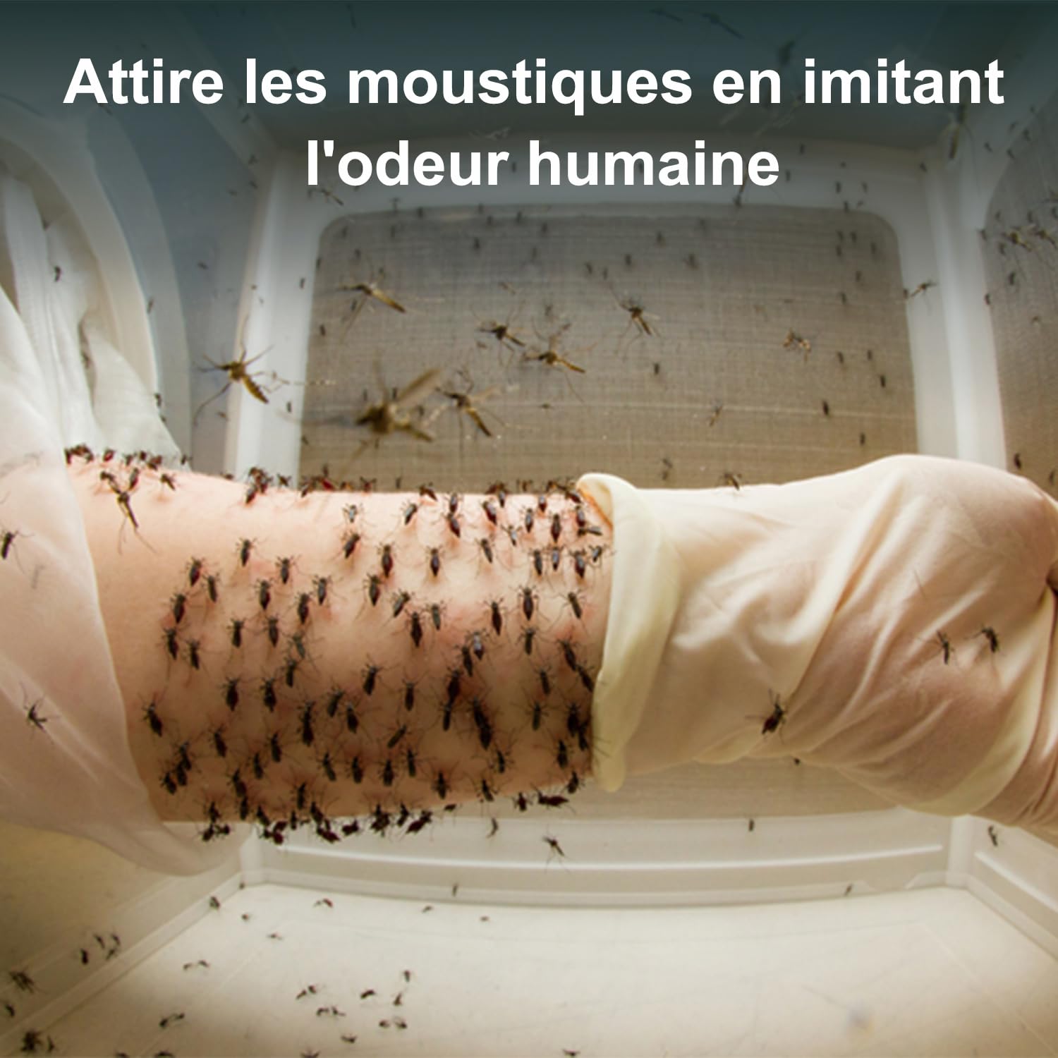 Recharge 4 Mois Alternative pour Biogents Piège Moustique (Lot de 2) | Alternative ultra-économique | Parfaitement adapté pour BG-Mosquitaire & Sweetscent | Action ciblée moustique tigre | CO2