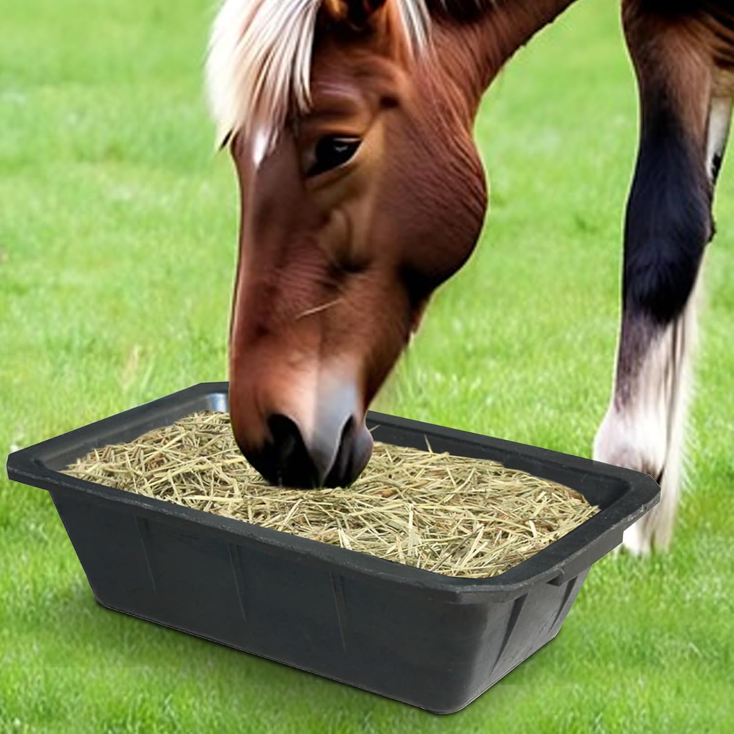 Horse Trough - 10L Heavy Duty Water Trough for Livestock Feeding, Pan Bucket for Animal Hydration and Food Supply, Suitable for Cattle, Deer, Chicken, or Poultry Farm Use, Material, Box Pack T