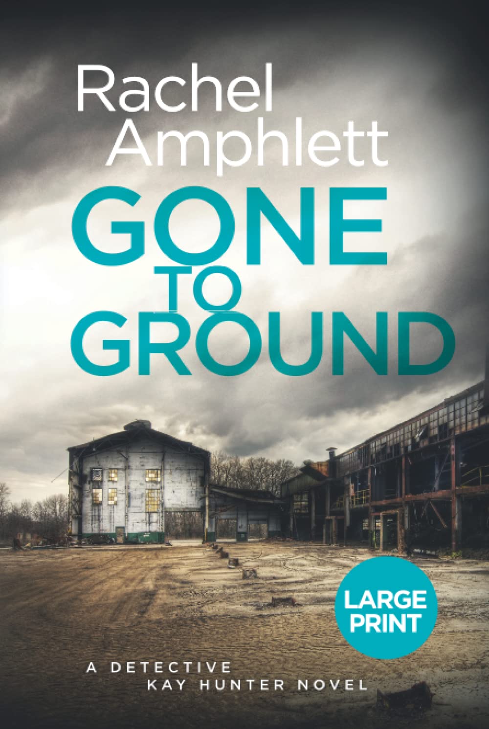 Gone to Ground: A chilling serial killer thriller (Detective Kay Hunter, 6) (large print): A Detective Kay Hunter murder mystery