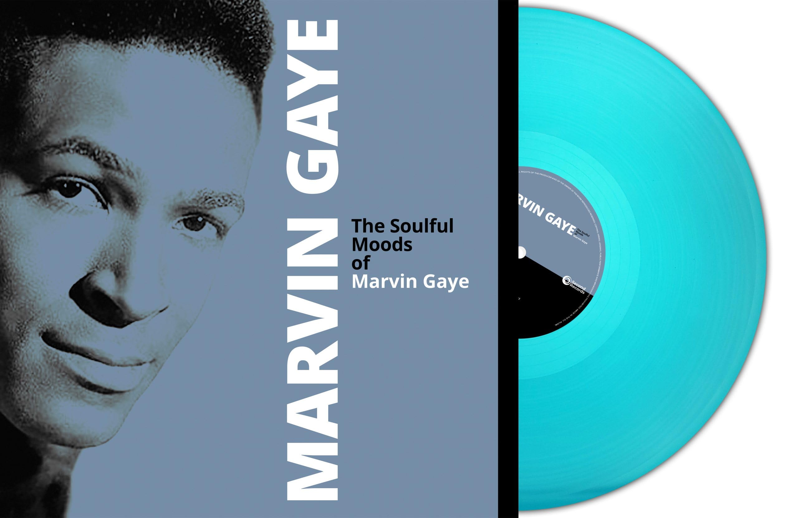 Soulfoul Moods of [VINYL]