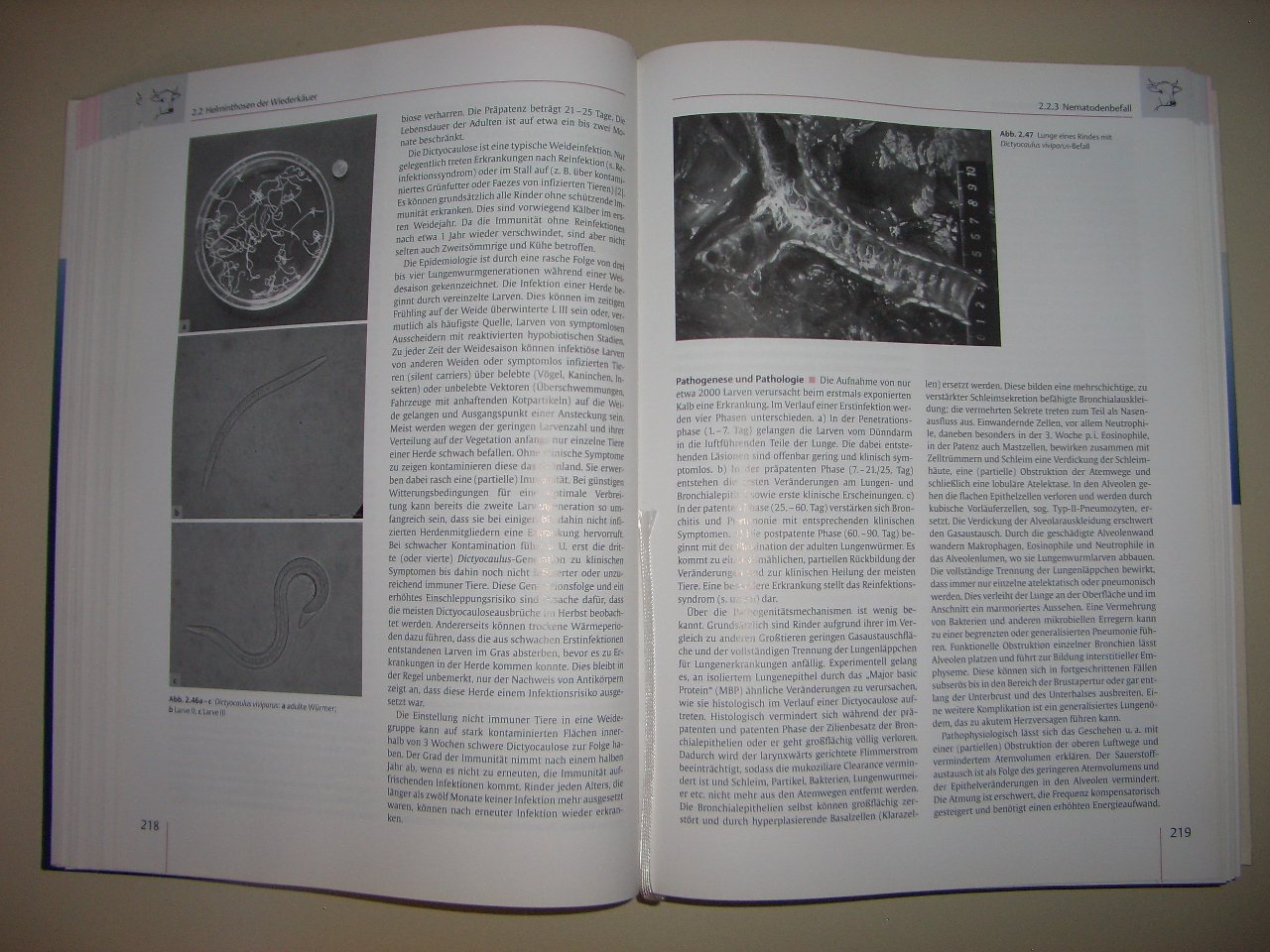 Veterinärmedizinische Parasitologie