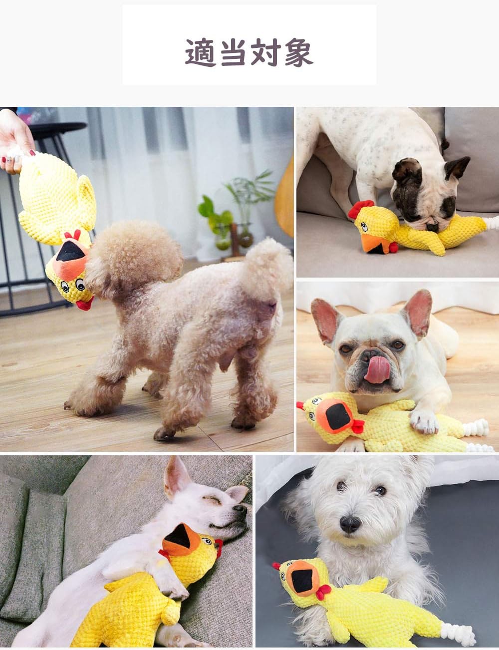 Amazon アーモンド 犬 おもちゃ 黄色い 鳥 いぬのおもちゃ 犬のおもちゃ 犬おもちゃ 犬用おもちゃ 丈夫 ぬいぐるみ 犬噛むおもちゃ ストレス解消 噛む おもちゃ 小 中型犬 アーモンド 噛むおもちゃ 通販