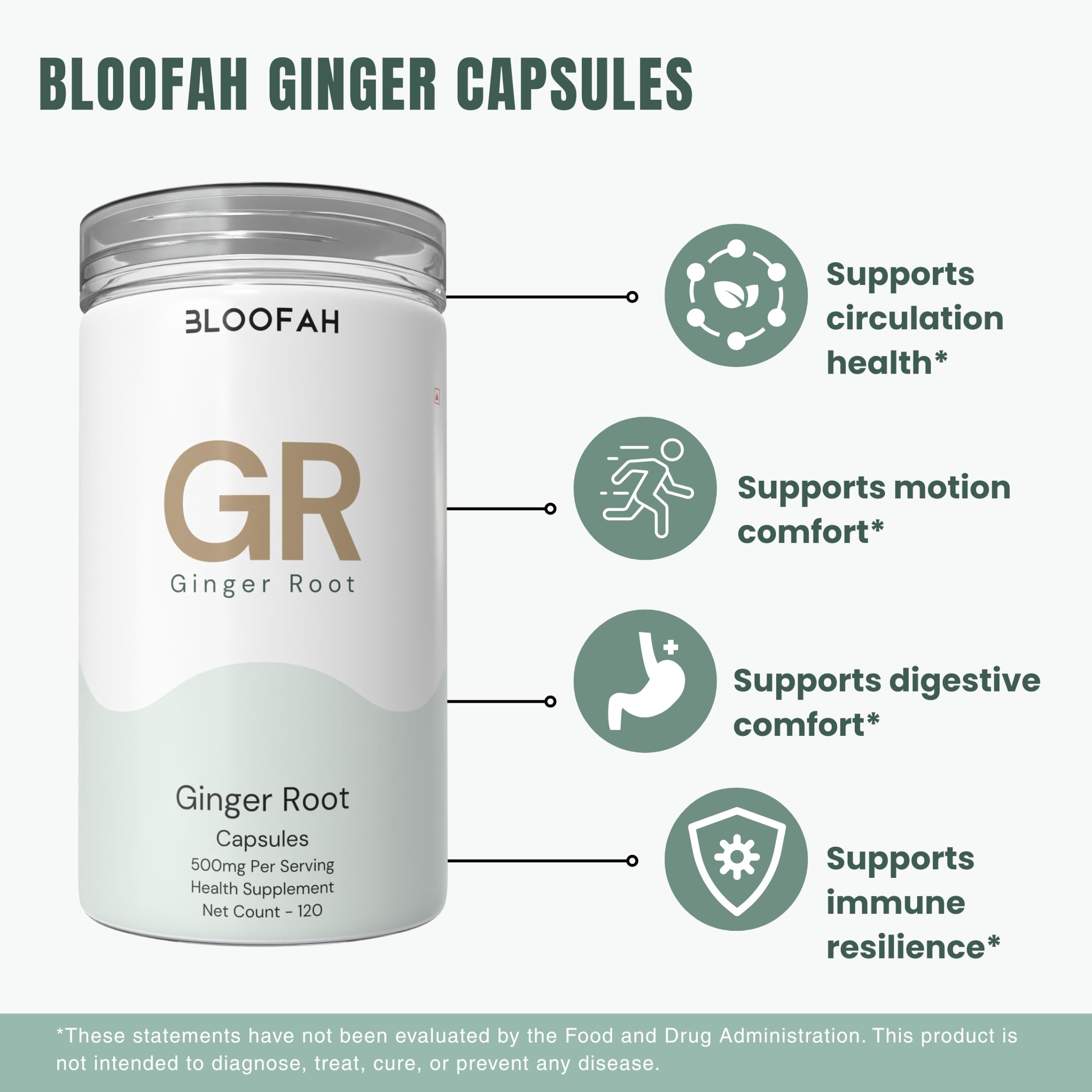 Bloofah GR Ginger Root Extract Capsules 500mg – (Zingiber officinale) Botanical Supplement, Ginger Supplement for Digestive Comfort, Daily Balance & Routine Wellness, Gluten-Free Formula (120 Count (Pack of 1)) 2