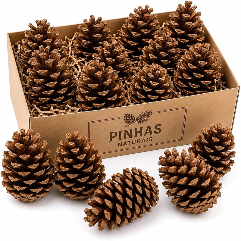 Kit 10 Pinhas de Natal Naturais Premium - Tamanho Diversos - Pinhas Selecionadas para Decoração Natalina, Artesanato, Guirlandas, Arranjos e Enfeites de Natal
