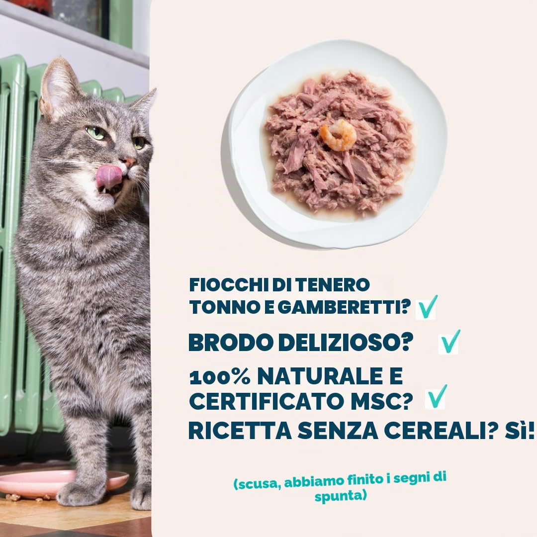 Edgard & Cooper cibo umido per gatti, (Tonno/Gamberetti Fresco, 70g x 24), Filettini per gatti, sterilizzati o attivo, carne fresca e ingredienti naturali, senza cereali, senza zuccheri aggiunti
