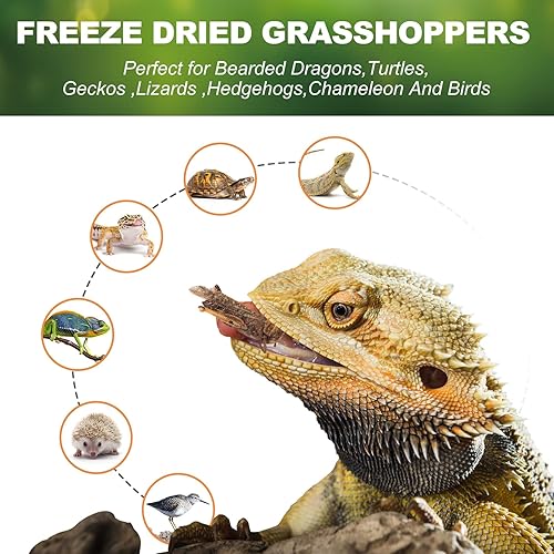 Miniatura 5 de capuca Aquatic Turtle Medley Treat Food  Turtle Nutri Stick - Gusanos de harina liofilizados para tortugas, tritones y ranas (6 onzas)