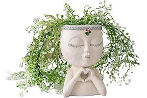 GAFBV Face Cactus Plants Small