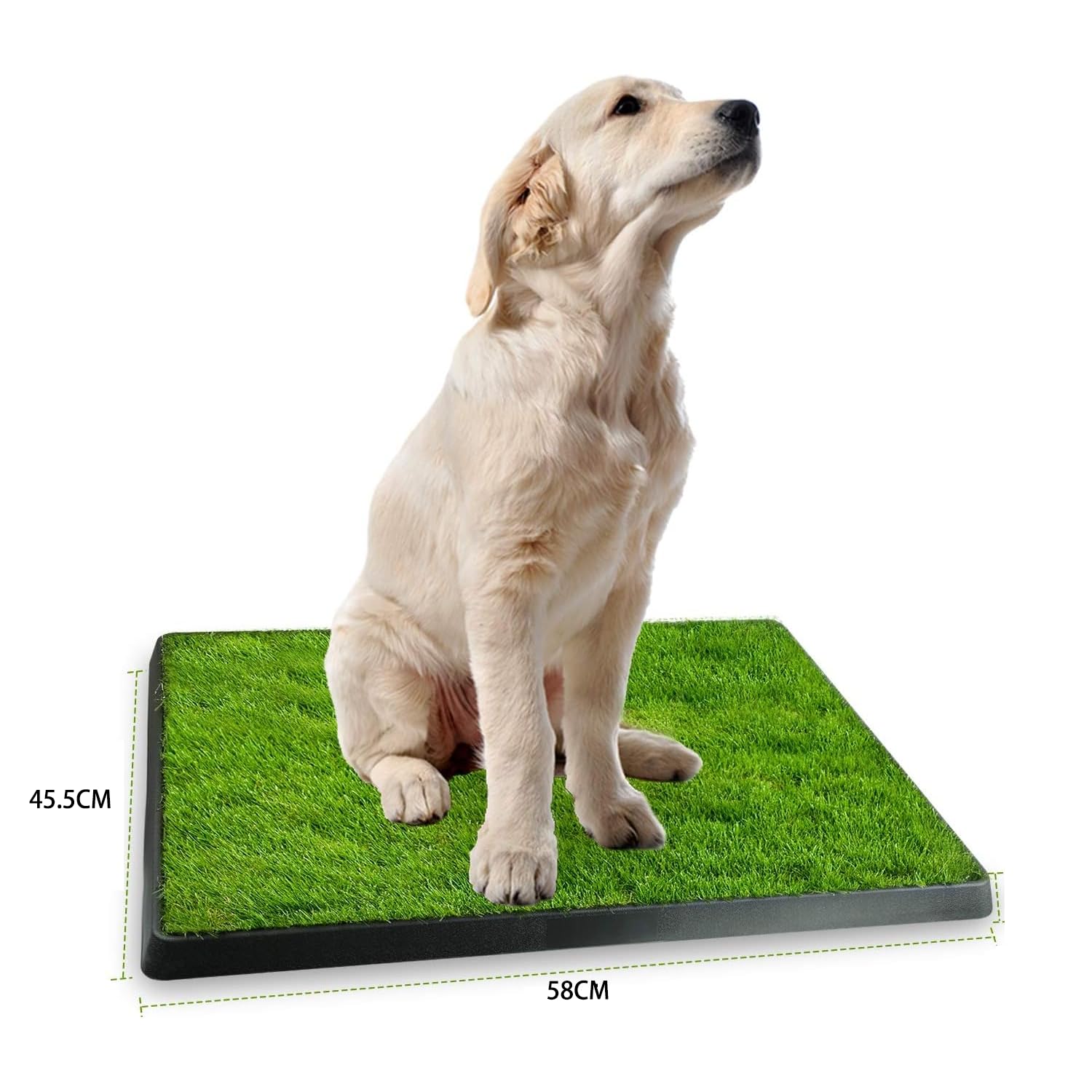 WC para perros con césped sintético 58x45,5 cm