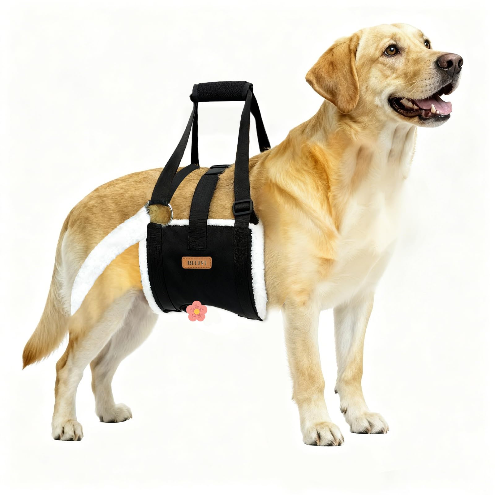 Arnés de elevación para perros grandes, soporte trasero ajustable para la pierna con acolchado y hebilla fija antideslizante, ayuda de recuperación de cirugía de displasia de cadera/ACL/TPLO, arnés