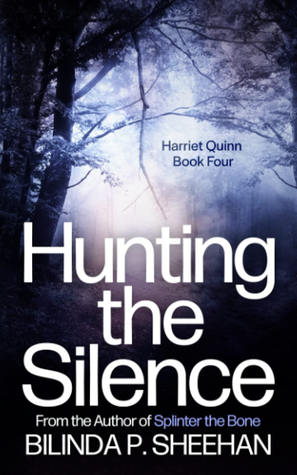 Hunting the Silence: The Yorkshire Murders (DI Haskell & Quinn Crime Thriller Series)
